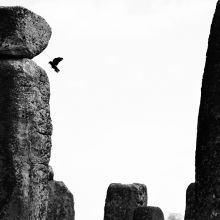 Crow from Stonehenge