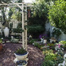 24-07-2016 Amanda's garden